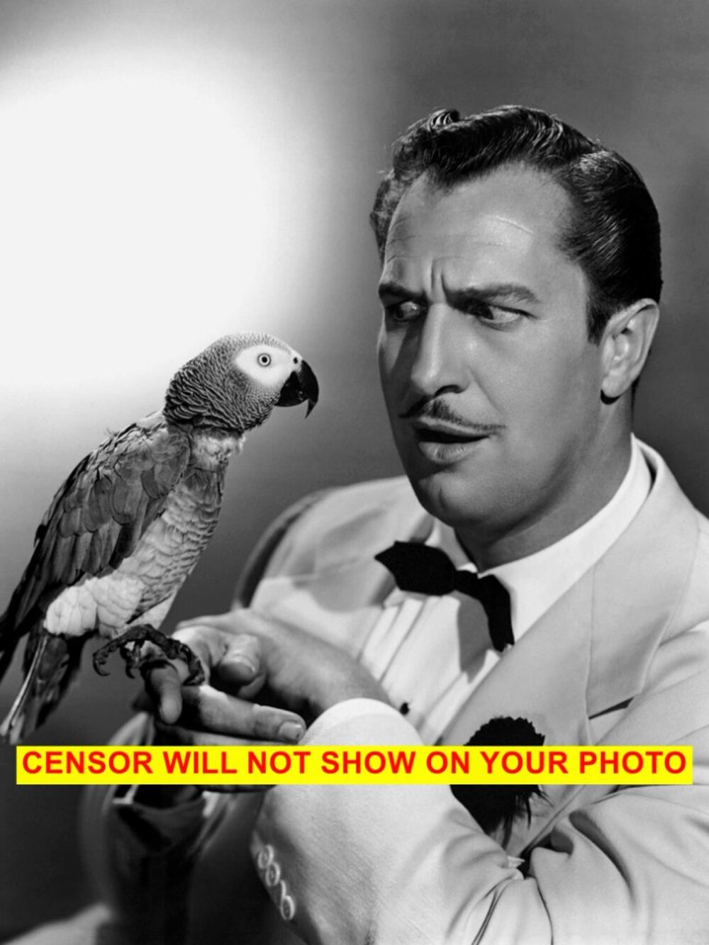 Home Wall Decor Photo Collectible Art Print 8x10 Hollywood Actor Vincent Price